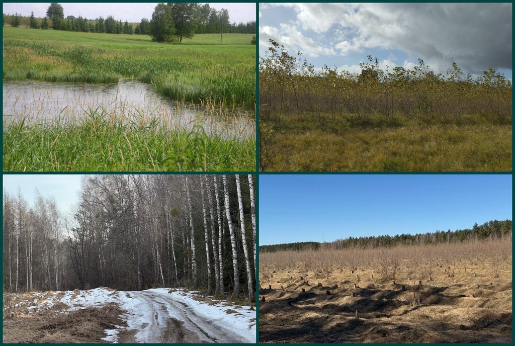 Teren projektu fotowoltaicznego WWSE na Warmii latem, jesienią, zimą i wiosną.